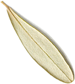 deco leaf