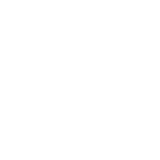 disabled icon